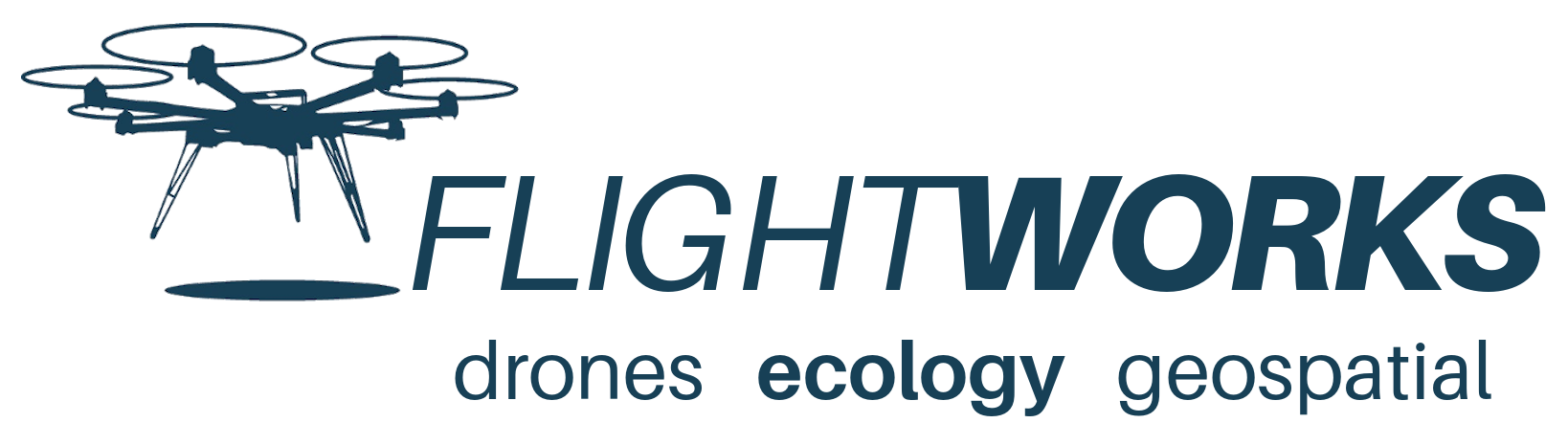 Flightworks Flightworks