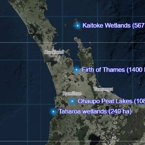 Large-wetlands-map-circle